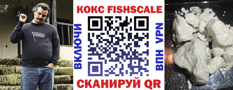 Где купить Болгар Бошки Шишки  Кокаин  СК  ГАШ 