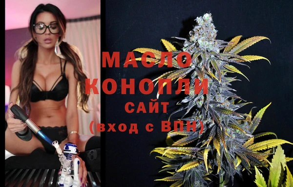 мдпв Богородск