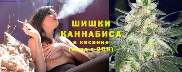дмт Михайлов