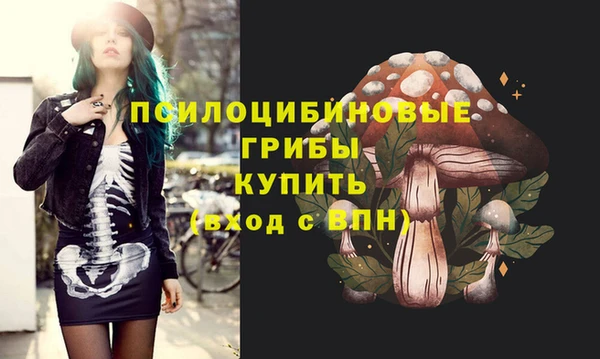 винт Богородицк