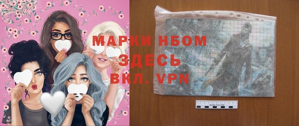 мдпв Богородск