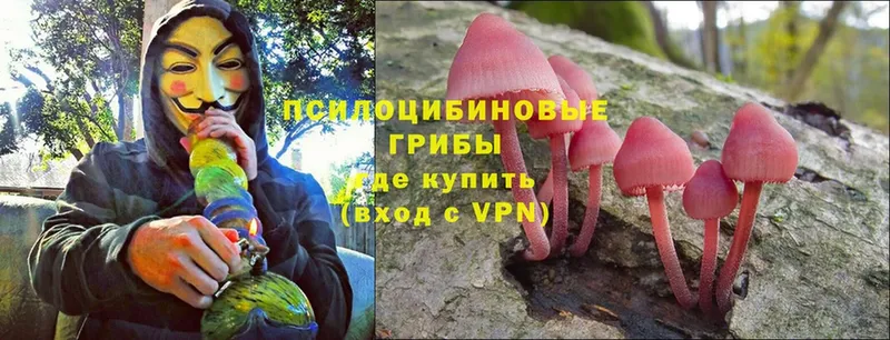 Псилоцибиновые грибы Cubensis  гидра зеркало  Болгар 